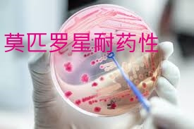 莫匹罗星—我们正面临失去它的危险？
